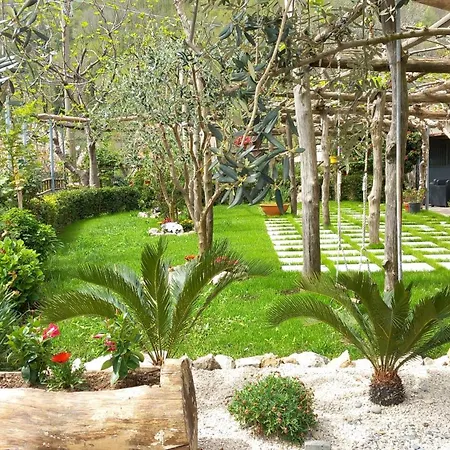 Mon Reve 2 * Pianillo